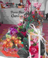 Магазин за цветя и сувенири „Gardenia“