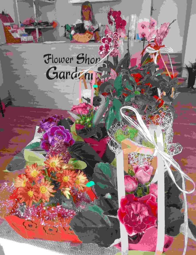 Магазин за цветя и сувенири &#8222;Gardenia&#8220;